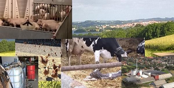 Kom med dine bemærkninger til udkast til Miljøtilsynsplan 2021-2025