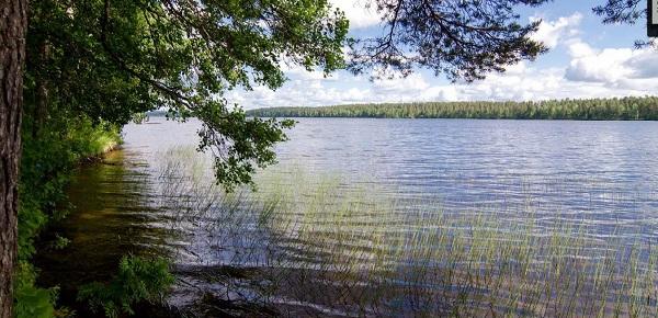 Bådebroer