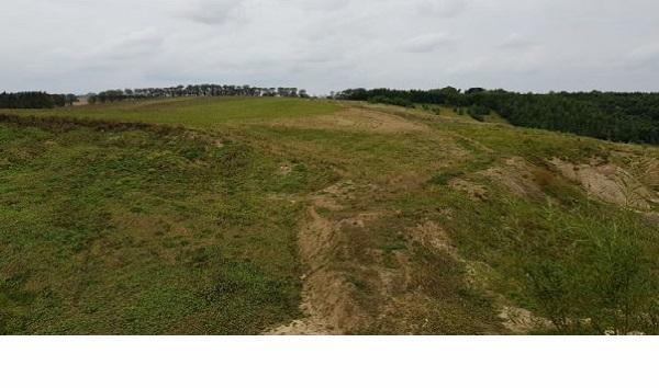 Det lyse, slåede område centralt i billedet viser placeringen af vandhullet