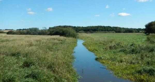 Gammelgård Sø
